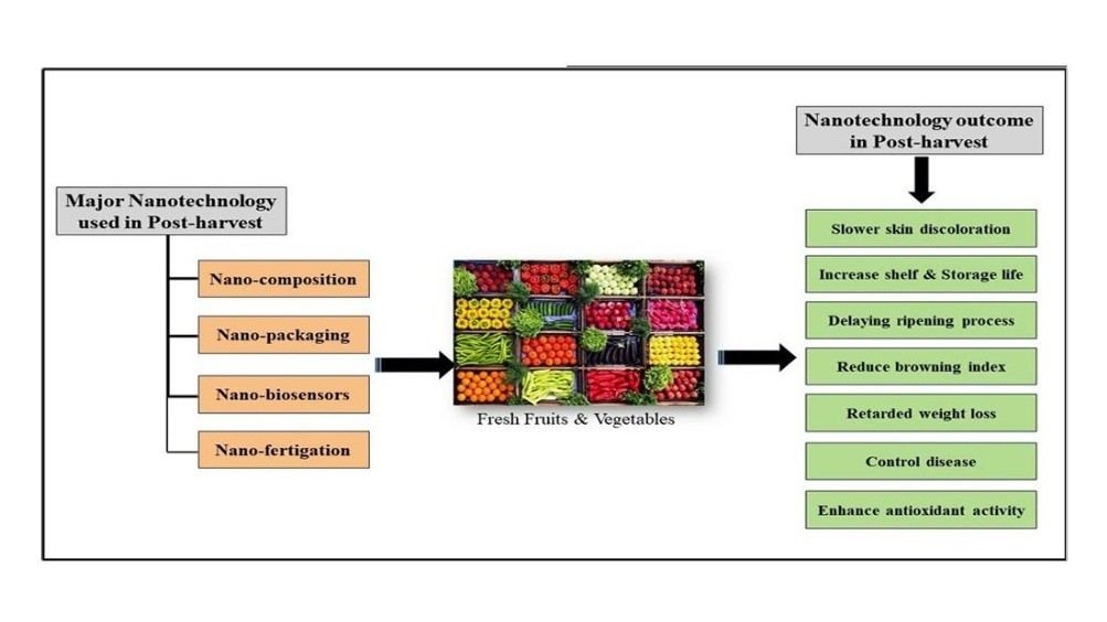 2602 nanotech xr.jpg